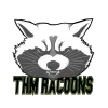 Teamlogo